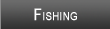 Lake Gaston Fishing